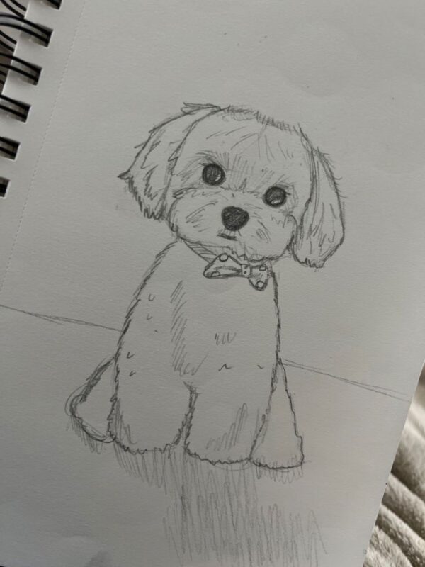 Puppy Drawing